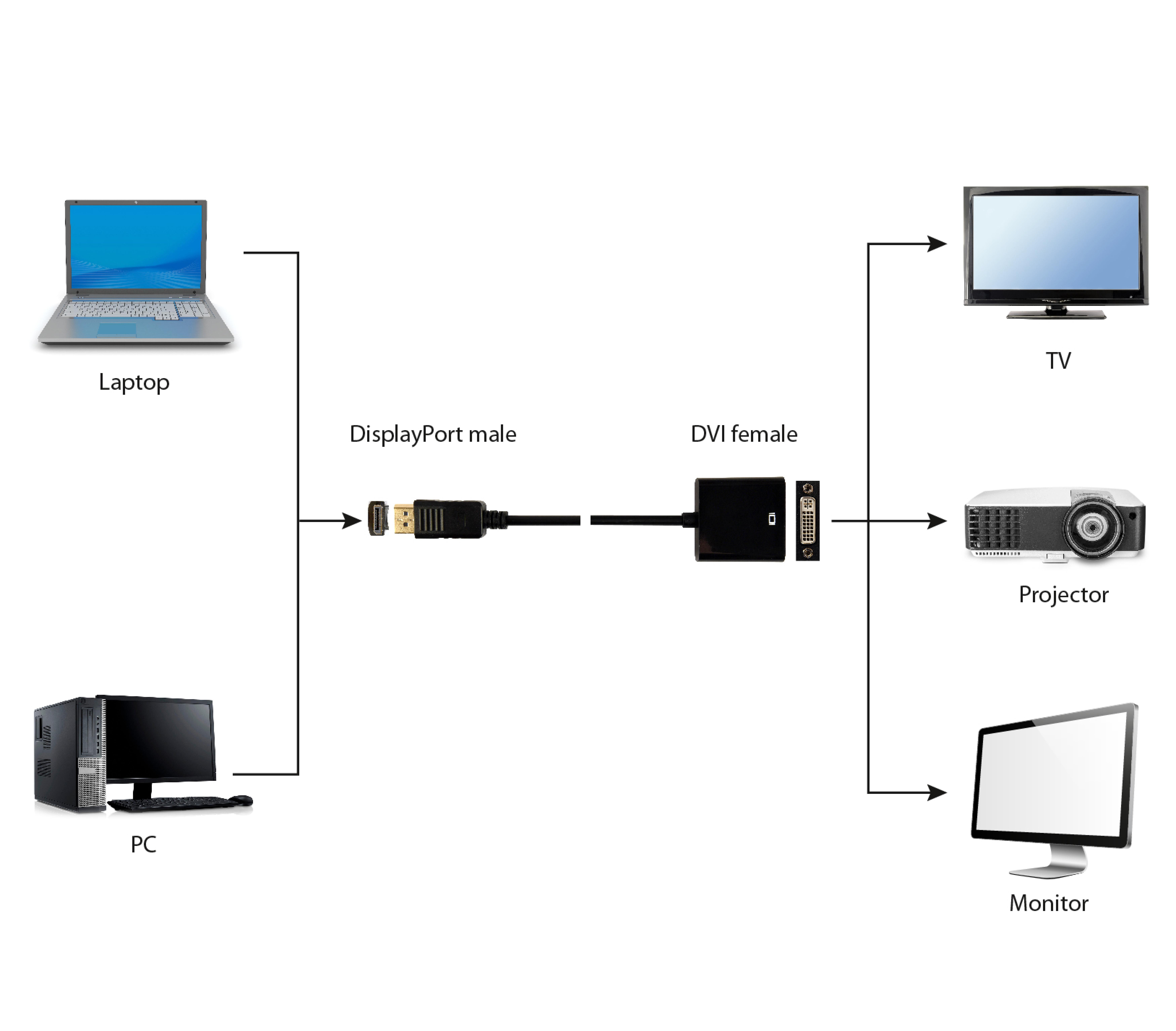 gembird DisplayPort -> DVI - Adapterkabel, schwarz
